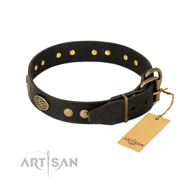 Corrosion resistant adornments on full grain natural leather dog collar for your pet
