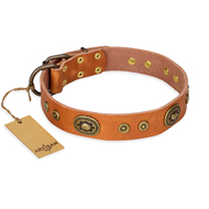 "Dandy Pet" FDT Artisan Handcrafted Tan Leather Swiss Mountain Dog Collar