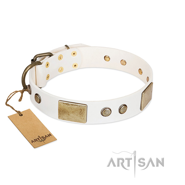 Adjustable full grain genuine leather dog collar for everyday walking your doggie