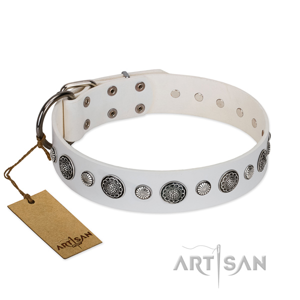 Top rate full grain leather dog collar with corrosion proof hardware