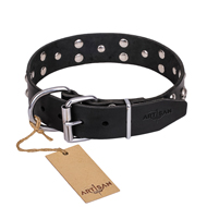 "Mystic Skulls" Decorated Leather Swiss Mountain Dog Collar with Skulls and Studs