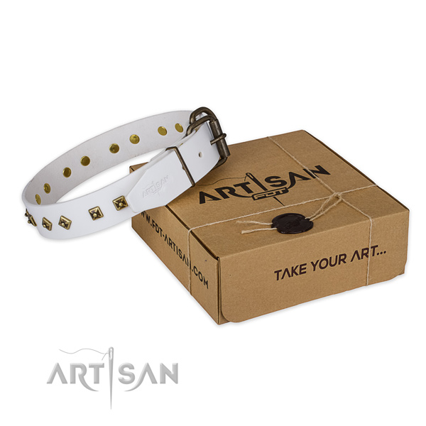 Reliable traditional buckle on genuine leather dog collar for daily walking