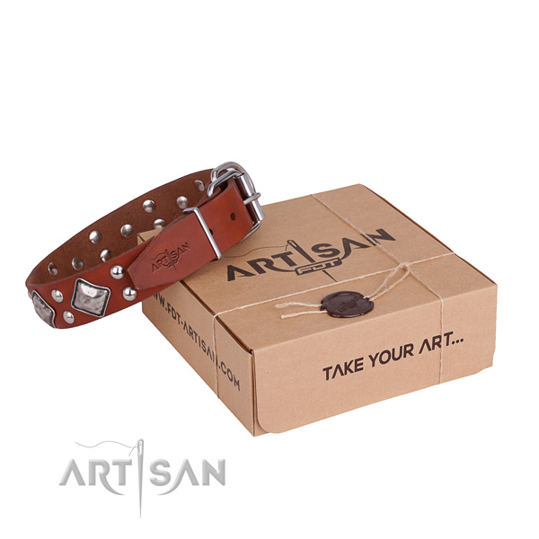 Stylish walking dog collar with Remarkable corrosion proof embellishments
