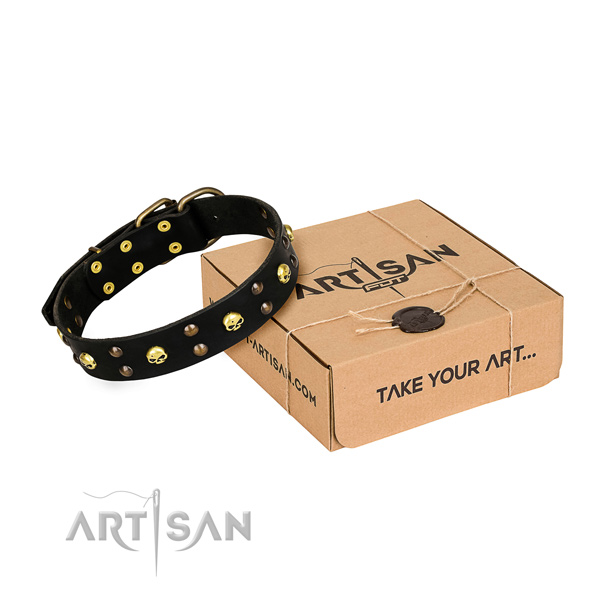 Stylish walking dog collar of quality full grain genuine leather with adornments