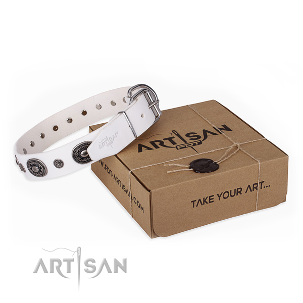 High quality full grain natural leather dog collar created for fancy walking