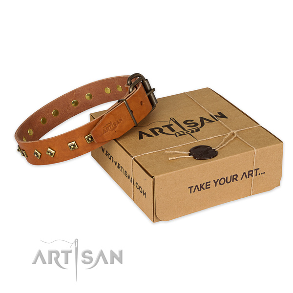 Corrosion resistant fittings on leather dog collar for handy use