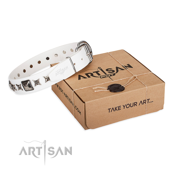 Everyday use full grain natural leather dog collar with adornments