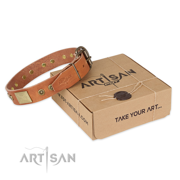 Strong fittings on full grain natural leather dog collar for basic training