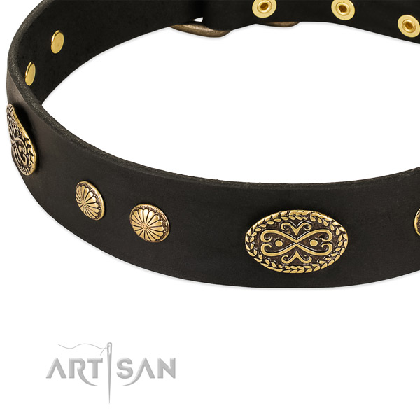 Corrosion proof studs on leather dog collar for your doggie