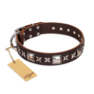 "Perfect Impression" FDT Artisan Brown Leather Swiss Mountain Dog Collar with Silvery Square Studs