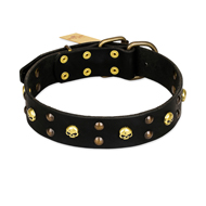 "Heavy Metal" Leather Swiss Mountain Dog Collar with Skulls and Studs 1 1/2 inch (40 mm)
