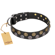 "Romantic Breeze" FDT Artisan Black Leather Swiss Mountain Dog Collar with Sparkling Circles