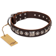 "Pierian spring" FDT Artisan Brown Leather Swiss Mountain Dog Collar with Silvery Decorations