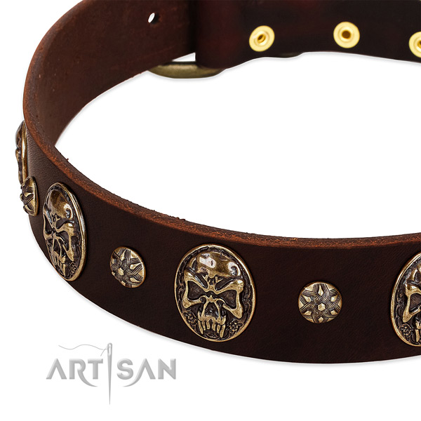Corrosion proof hardware on full grain natural leather dog collar for your dog