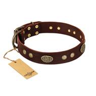 "Old-fashioned Glamor" FDT Artisan Brown Leather Swiss Mountain Dog Collar with Old Bronze Look Plates and Circles