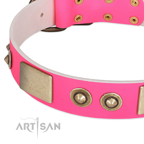 Reliable D-ring on leather dog collar for your doggie
