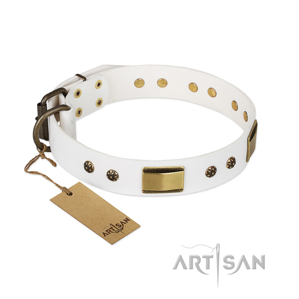 Adorned full grain natural leather collar for your four-legged friend