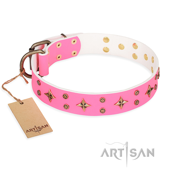 Daily use dog collar of quality full grain natural leather with embellishments