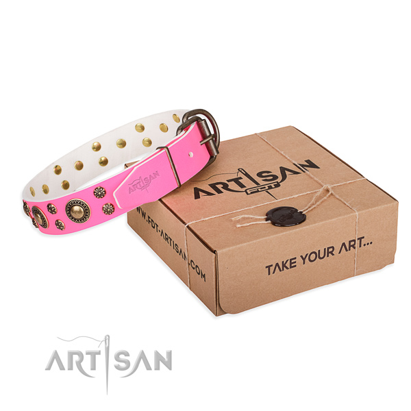 Comfy wearing dog collar of quality leather with decorations