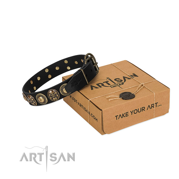 Corrosion resistant fittings on dog collar for basic training