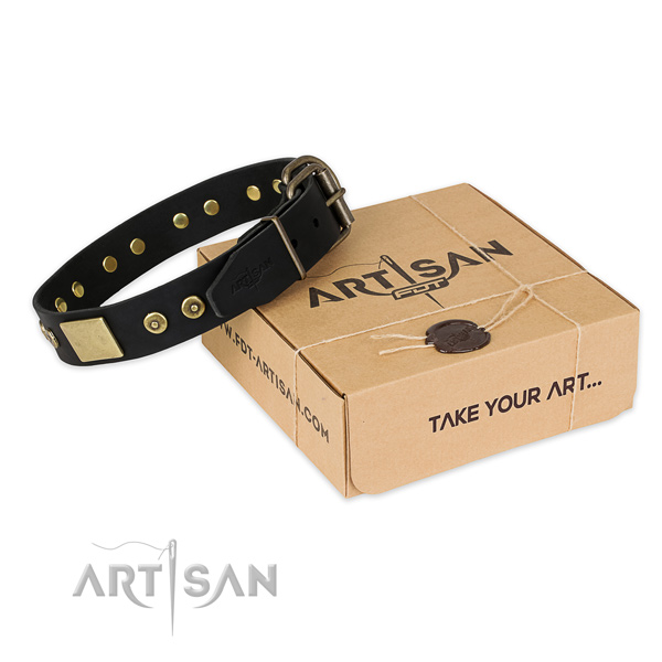 Reliable buckle on full grain leather dog collar for daily walking