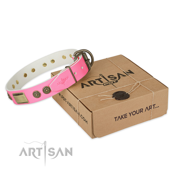 Strong traditional buckle on dog collar for everyday use