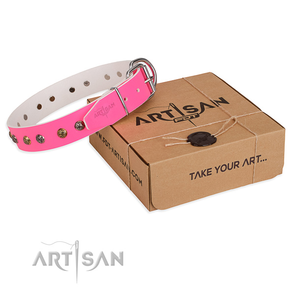 Everyday walking dog collar with Awesome rust resistant adornments