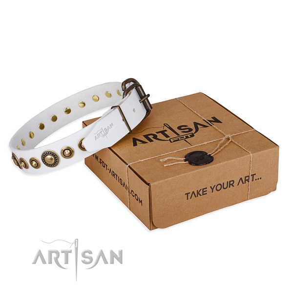 Quality genuine leather dog collar handcrafted for handy use