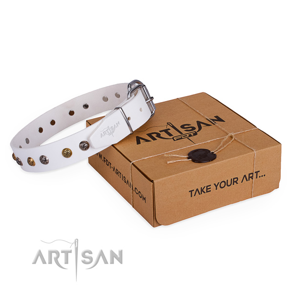 Comfortable wearing dog collar with Incredible rust-proof studs
