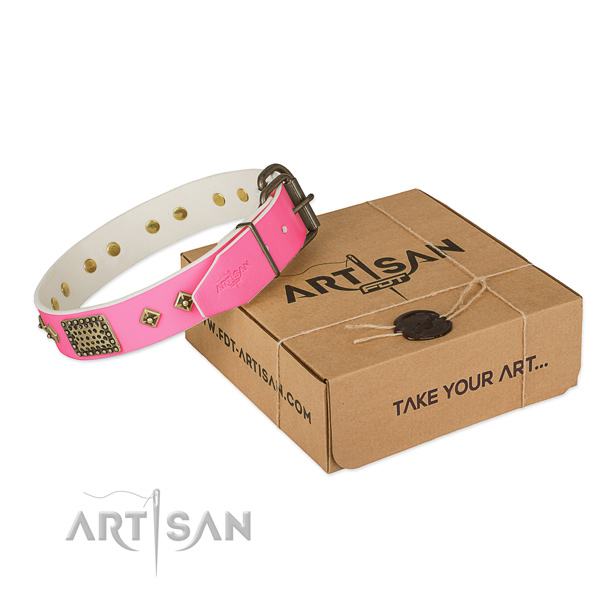 Durable fittings on dog collar for handy use