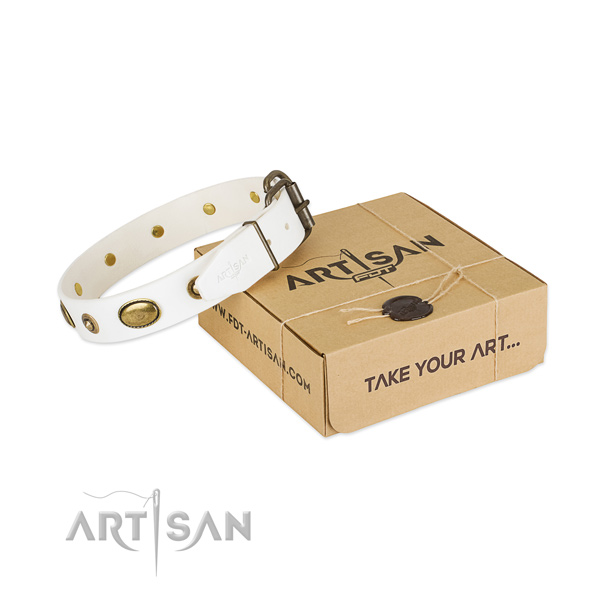 Embellished natural leather collar for your handsome canine
