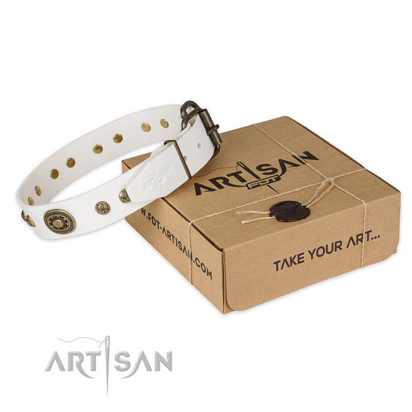 Corrosion proof hardware on leather dog collar for fancy walking