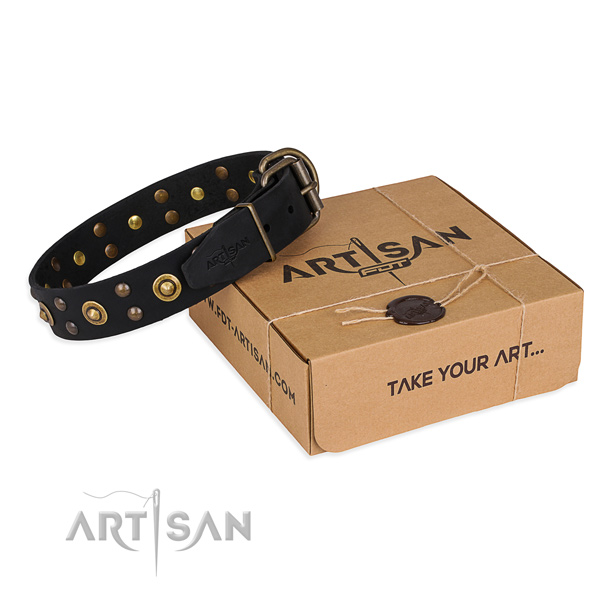 Strong hardware on leather collar for your impressive pet