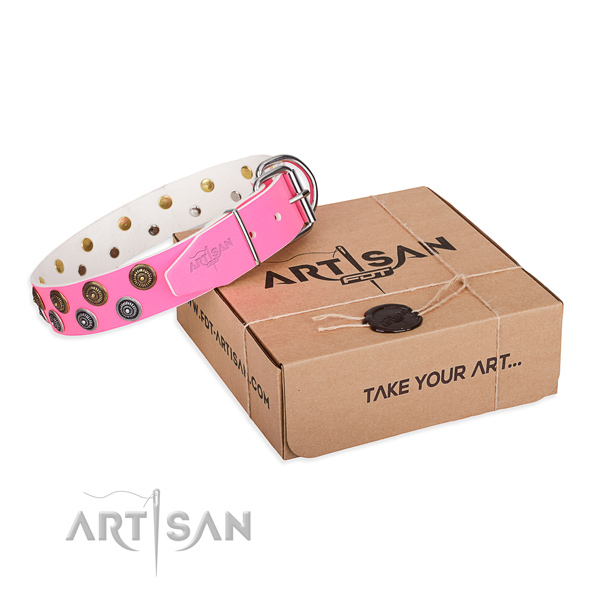 Stylish walking dog collar of durable leather with decorations