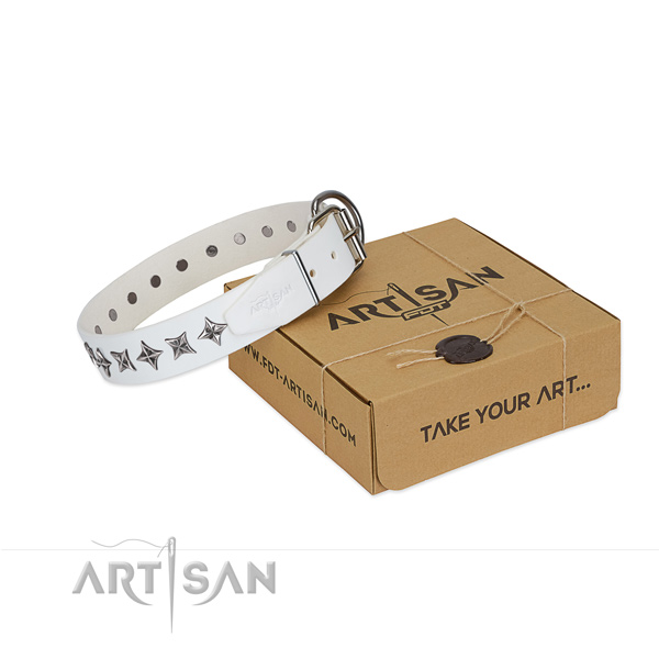 Top notch full grain leather dog collar with inimitable embellishments