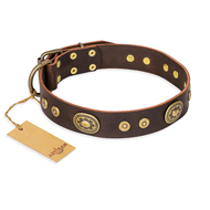 "One-of-a-Kind" FDT Artisan Handmade Decorated Brown Leather Swiss Mountain Dog Collar
