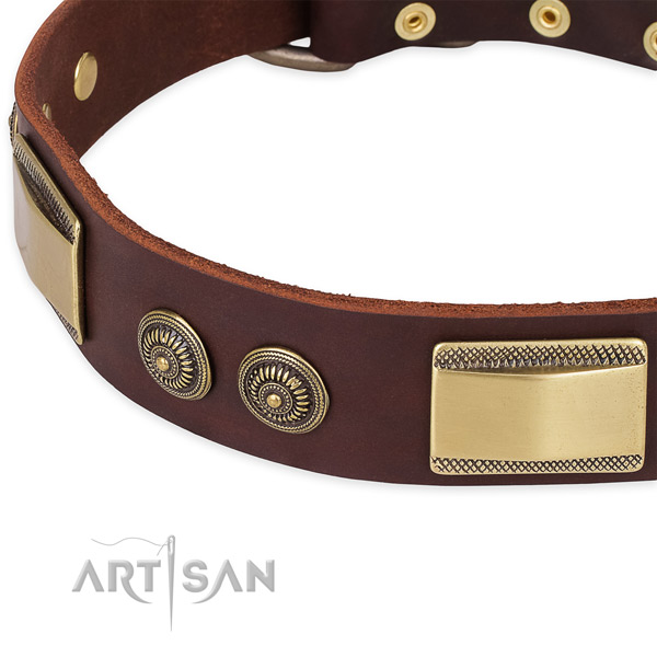 Extraordinary leather collar for your impressive pet