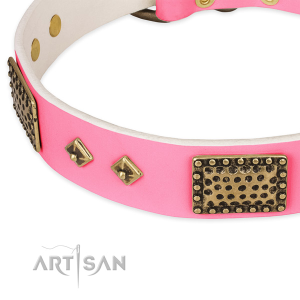 Full grain natural leather dog collar with studs for everyday use