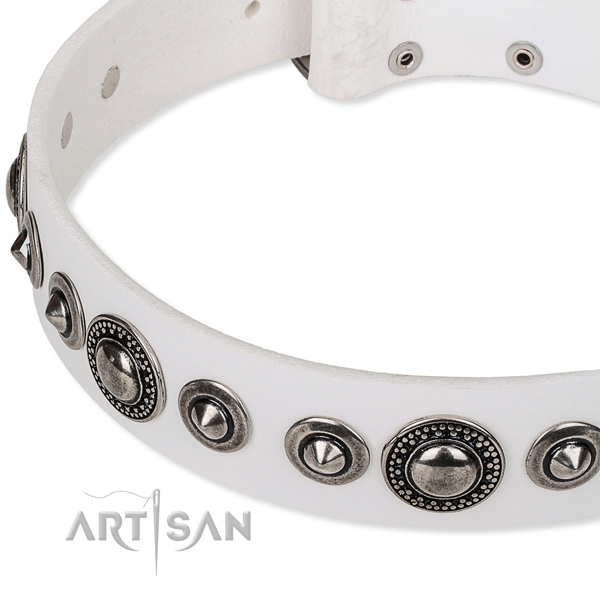 Everyday use studded dog collar of durable full grain natural leather