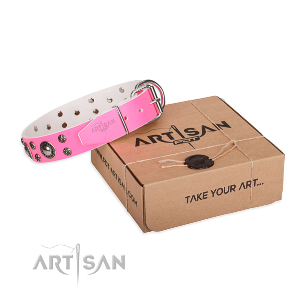 Everyday use dog collar of quality full grain genuine leather with embellishments