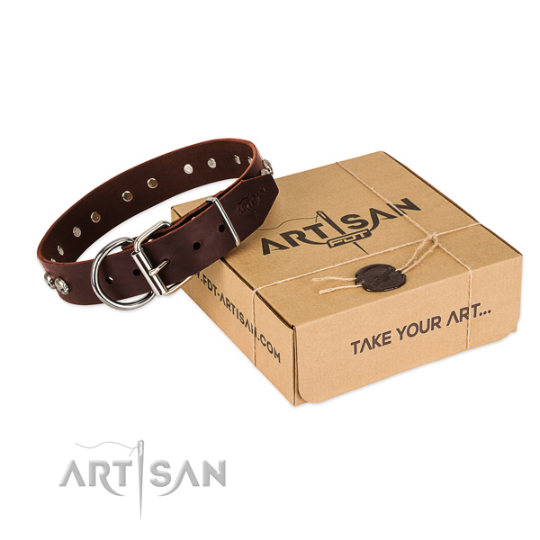 Reliable embellishments on dog collar for daily walking