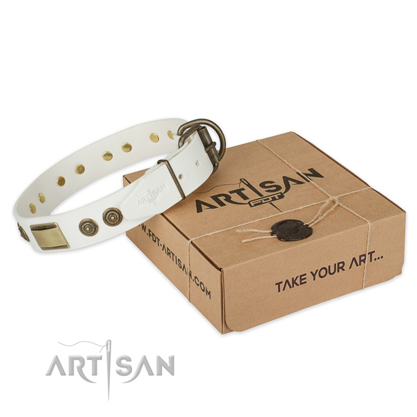Durable buckle on leather dog collar for basic training