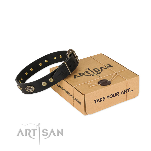 Reliable adornments on full grain natural leather dog collar for your four-legged friend
