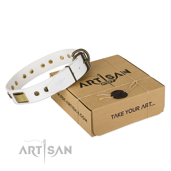 Amazing natural genuine leather collar for your lovely doggie