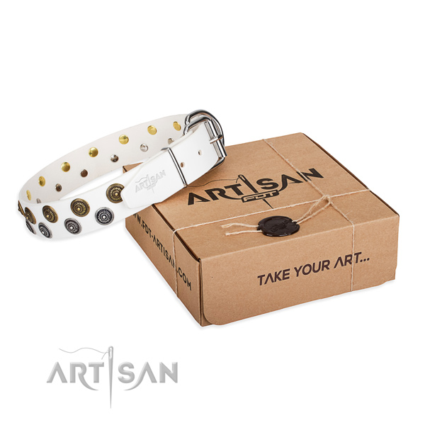 Walking dog collar of strong natural leather with decorations