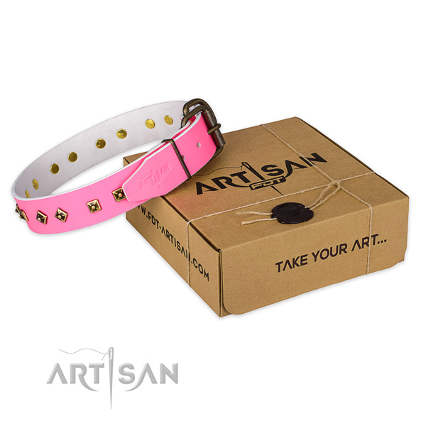 Strong hardware on genuine leather dog collar for basic training