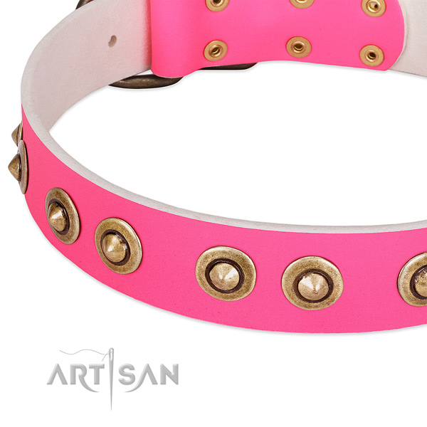 Reliable studs on genuine leather dog collar for your pet