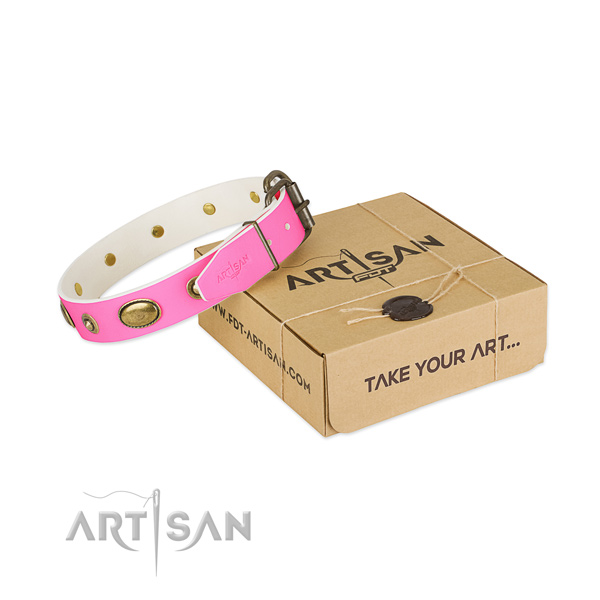 Unusual full grain leather collar for your handsome doggie