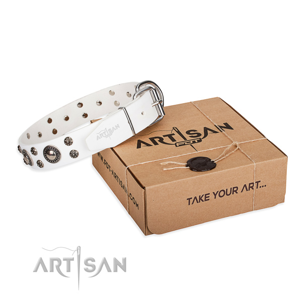 Everyday use dog collar of top notch leather with embellishments