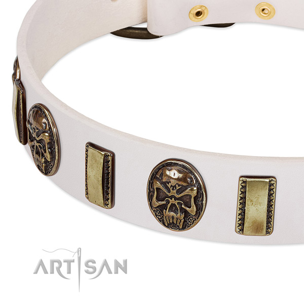 Strong studs on leather dog collar for your doggie